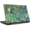 Vincent Van Gogh Irises Lenovo ThinkPad Skin