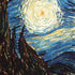 Vincent Van Gogh The Starry Night Moto E5 Play Skin