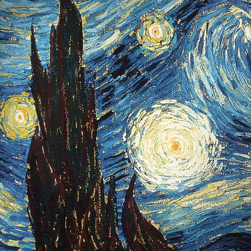 Vincent Van Gogh The Starry Night Moto G6 Skin