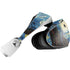 Vincent Van Gogh The Starry Night PlayStation VR2 Skin