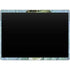 Vincent Van Gogh Self-portrait Surface Pro 9 Skin