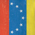 Venezuela Flag Distressed iPhone XS Max Skin