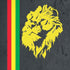 Vertical Banner - Lion of Judah iPhone XR Pro Case