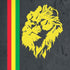 Vertical Banner - Lion of Judah iPhone XR Skin