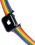 Vertical Rainbow Flag Apple Watch Band 42-44mm