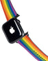 Vertical Rainbow Flag Apple Watch Band 38-40mm