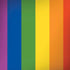 Vertical Rainbow Flag iPhone X Pro Case