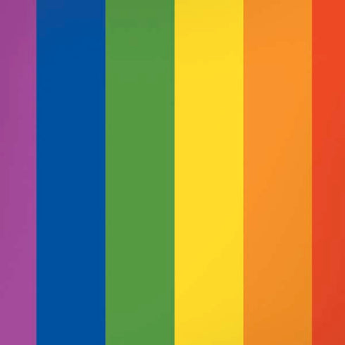 Vertical Rainbow Flag iPhone XR Skin