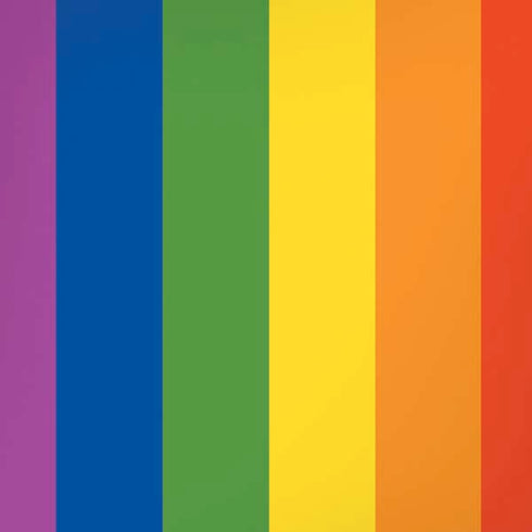 Vertical Rainbow Flag iPhone XS Max Skin