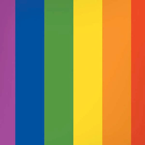 Vertical Rainbow Flag iPhone XS Pro Case