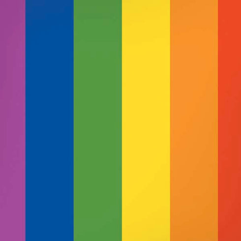 Vertical Rainbow Flag iPhone XS Skin