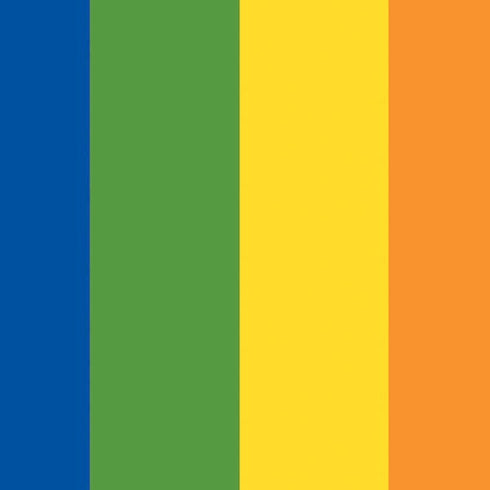 Vertical Rainbow Flag Moto E5 Play Skin