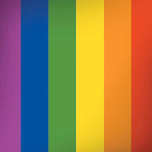 Vertical Rainbow Flag Moto G6 Skin