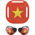 Vietnam Flag Distressed Galaxy Buds Pro Skin