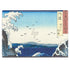 Hiroshige View of the Naruto whirlpools at Awa HP Envy Skin