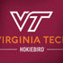 Virginia Tech Hokiebird Dell Alienware Skin