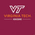 Virginia Tech Hokiebird PS4 Slim Skin