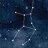 Virgo Constellation iPhone X Pro Case