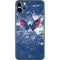 NHL Washington Capitals Frozen iPhone 11 Pro Max Skin