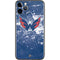 NHL Washington Capitals Frozen iPhone 11 Pro Skin