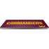 NFL Washington Commanders Performance Series Universal Laptop 17in (13.8 x 10in) Skin