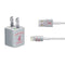 Washington State iPhone Charger (5W USB) Skin