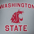 Washington State Legion Y720 Skin