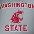 Washington State Notebook 9 Pro 13in (2017) Skin