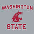 Washington State PS4 Slim Skin