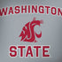 Washington State Spectre x360 15t Skin