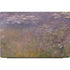 Claude Monet Water Lilies Dell Vostro Skin