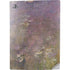 Claude Monet Water Lilies PS5 Digital Edition Console Skin