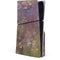 Water Lilies by Claude Monet PS5 Slim Disk Console Skin
