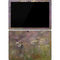Claude Monet Water Lilies Surface Pro 7 Skin