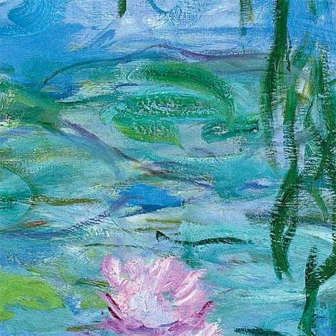 Claude Monet Waterlilies, 1916-19 Nintendo 2DS XL (2017) Skin