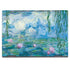Claude Monet Waterlilies, 1916-19 HP Envy Skin