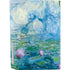 Claude Monet Waterlilies, 1916-19 PS5 Bundle Skin