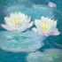 Claude Monet Waterlilies, Evening iPhone X Skin