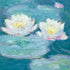 Claude Monet Waterlilies, Evening iPhone XR Pro Case