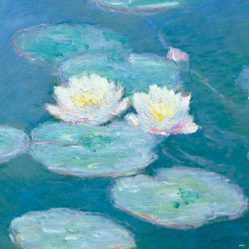 Claude Monet Waterlilies, Evening PS4 Console and Controller Bundle Skin