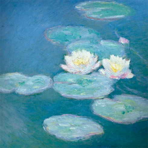 Claude Monet Waterlilies, Evening Surface Book 2 15in Skin