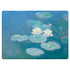 Claude Monet Waterlilies, Evening Surface Laptop 2 Skin