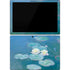 Claude Monet Waterlilies, Evening Surface Pro 7 Skin