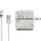 Weathered Wood iPad Charger (10W USB) Skin