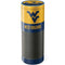 West Virginia University WV Yello split Amazon Echo Skin