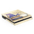 Amy Brown Whats in Here Coffee Dragon PS4 Slim Skin