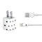 White and Black Hearts iPhone Charger (5W USB) Skin