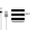 White and Black Stripes iPad Charger (10W USB) Skin