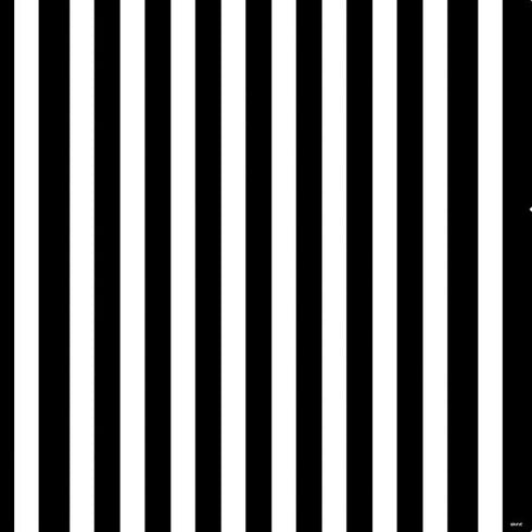 White and Black Stripes PS4 Controller Skin