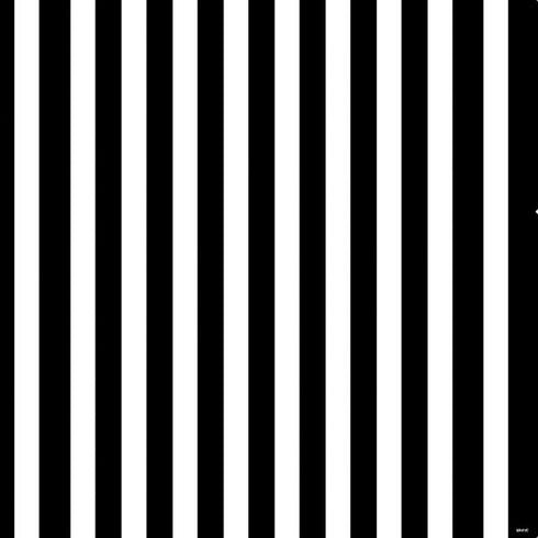 White and Black Stripes PS4 Slim Skin
